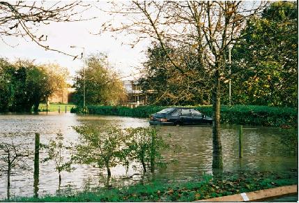 Grange Paddocks