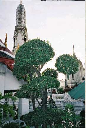 Bangkok