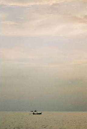 The sky