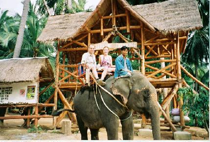 An elephant